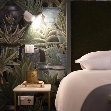 Apartment Cactus Apartment, By Bolhao Residences *
